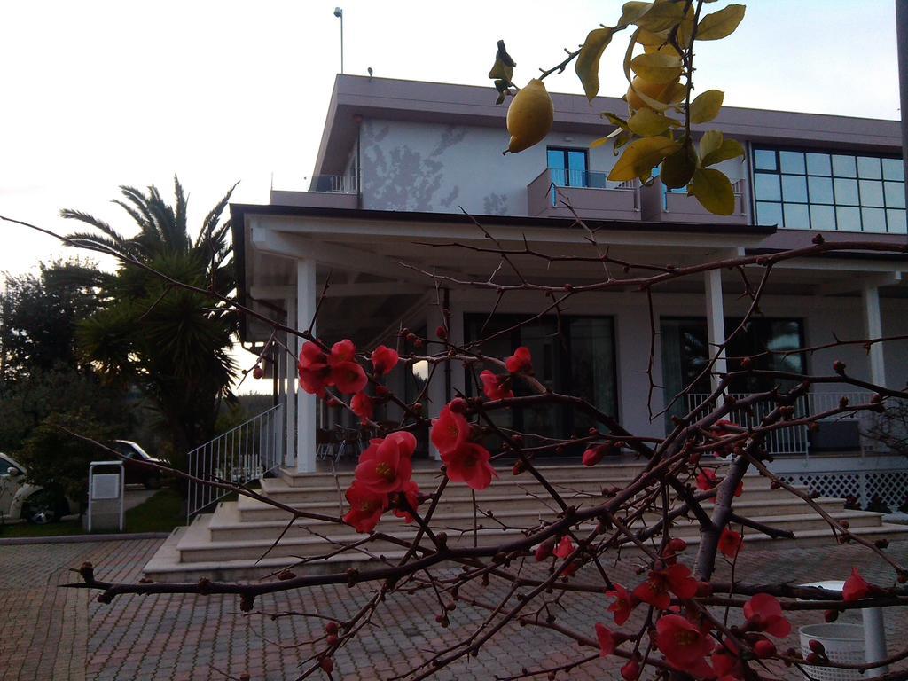 Hotel Parco Degli Ulivi Scerne Екстер'єр фото